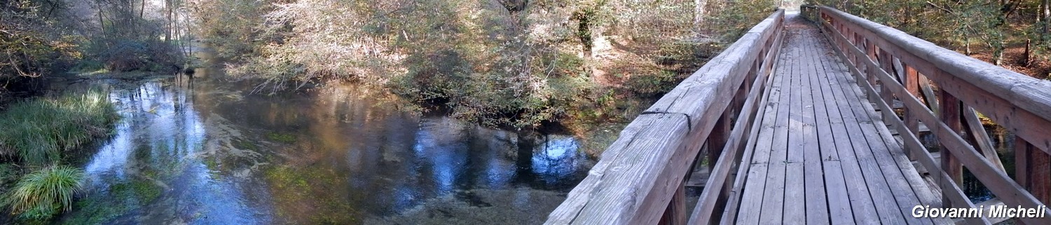 Ticino in piena